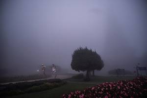 BIB: 
                            <button type="button" onclick="openModal(22791749)" class="btn btn-primary btn-sm float-right btn-popup" data-toggle="modal" data-target=".modal-high-quality">
                        <i class="fas fa-shopping-cart"></i> Add to Cart
                    </button>
                                            <button type="button" onclick="isThisMe(22791749, true)" class="btn btn-success btn-sm float-right btn-popup btn-isme hidden" data-toggle="tooltip" data-placement="bottom" title="นี่คือรูปของคุณใช่ไหม คลิกที่นี่เพื่อเอาเข้าอัลบั้ม">
                        <i class="fas fa-plus"></i> Add to album
                    </button>
                    <button type="button" onclick="isThisMe(22791749, false)" class="btn btn-warning btn-sm float-right btn-popup btn-isnotme hidden">
                        <i class="fas fa-ban"></i> Remove from album
                    </button>